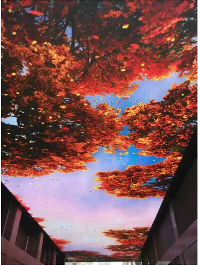 艾比森大型天幕屏项落户郑州.png