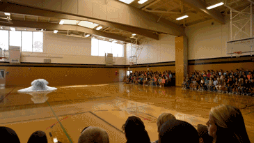 3.gif 3.gif