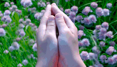5.gif 5.gif