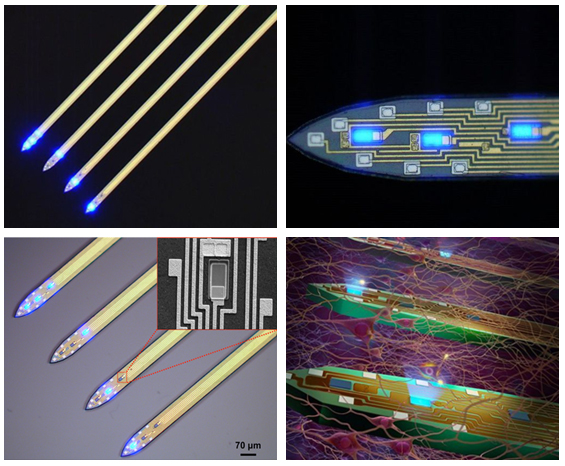 LED医疗应用再下一城 科学家开发出超细LED探针.jpg